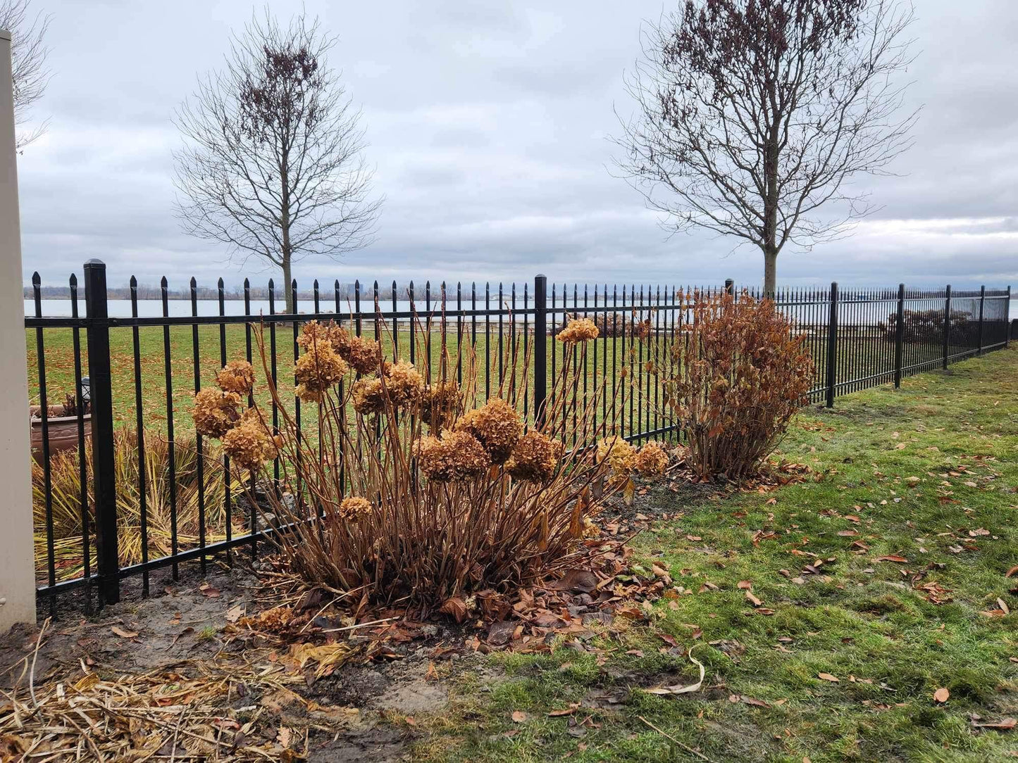 Ornamental Steel Square Post Black 2" x 2" x 69"